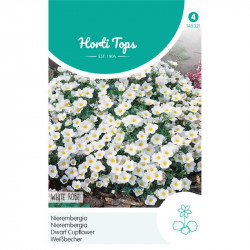 (45321) Nierembergia hippomanica / White Robe (45321) Nierembergia hippomanica / White Robe