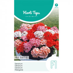 (45550) Pelargonium / Geranium F1 hybride (45550) Pelargonium / Geranium F1 hybride