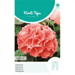 (45600) Pelargonium / Geranium F1 hybride Cherie (45600) Pelargonium / Geranium F1 hybride Cherie