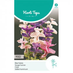 (46850) Salvia / driekleurig mengsel (46850) Salvia / driekleurig mengsel