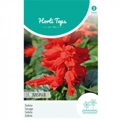 (46900) Salvia / St. Jansvuur (46900) Salvia / St. Jansvuur