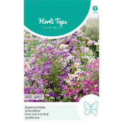 (47100) Schizanthus/Boerenorchidee (47100) Schizanthus/Boerenorchidee