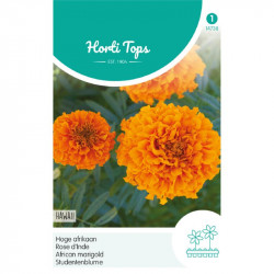 (47380) Tagetes / Afrikaan Hawaii oranje reukloos (47380) Tagetes / Afrikaan Hawaii oranje reukloos