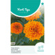 (47380) Tagetes / Afrikaan Hawaii oranje reukloos