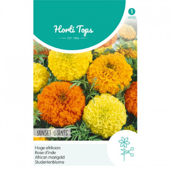 (47420) Tagetes / Afrikaan Sunset Giants