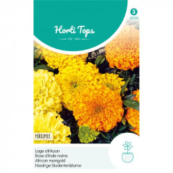 (47500) Tagetes / Afrikaan Maximix (47500) Tagetes / Afrikaan Maximix