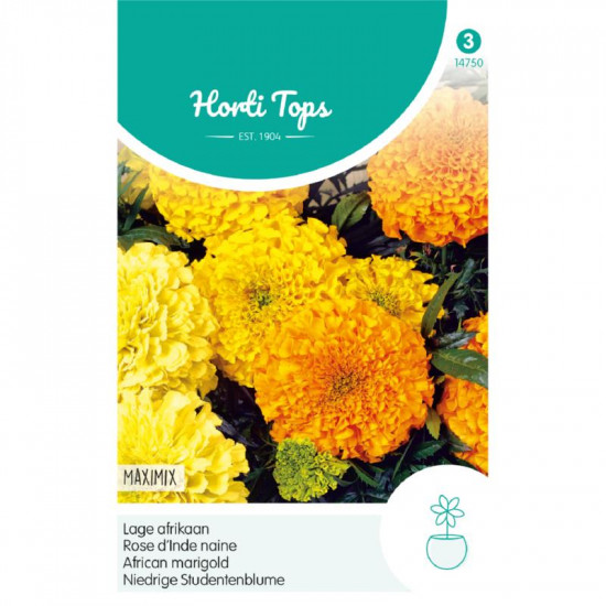 (47500) Tagetes / Afrikaan Maximix