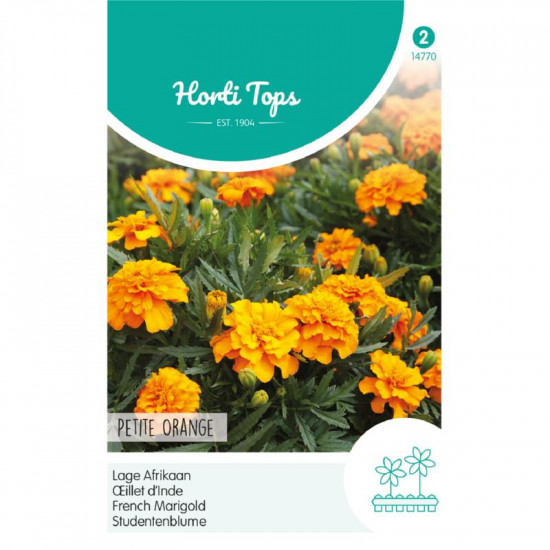 (47700) Tagetes / Afrikaan Petit Orange