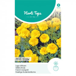 (47750) Tagetes / Afrikaan Petit Yellow (47750) Tagetes / Afrikaan Petit Yellow