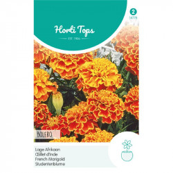 (47780) Tagetes / Afrikaan Bolero (47780) Tagetes / Afrikaan Bolero