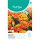 (47780) Tagetes / Afrikaan Bolero