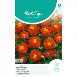 (47800) Tagetes / Afrikaan laag Carmen (47800) Tagetes / Afrikaan laag Carmen