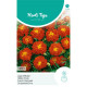 (47800) Tagetes / Afrikaan laag Carmen