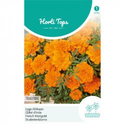 (47820) Tagetes / Afrikaan Tangerine (47820) Tagetes / Afrikaan Tangerine