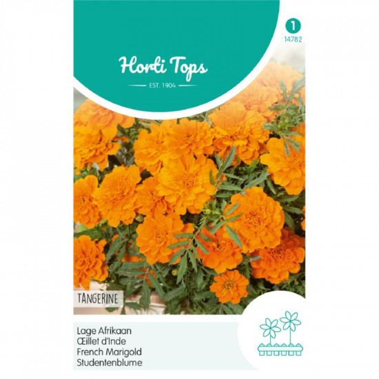 (47820) Tagetes / Afrikaan Tangerine