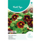 (48155) Tropaeolum / Black Velvet