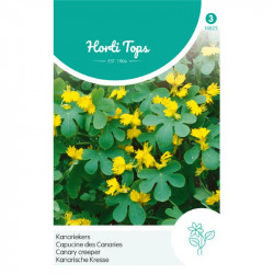 (48250) Tropaeolum / Kanariekers geel gefran. bloemen (48250) Tropaeolum / Kanariekers geel gefran. bloemen