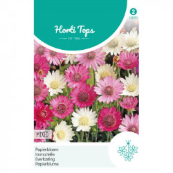 (48500) Xeranthemum / Papierbloem (48500) Xeranthemum / Papierbloem