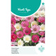 (48500) Xeranthemum / Papierbloem