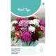 (50650) Dianthus / Duizendschoon enkel