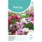 (50750) Dianthus / Duizendschoon lage