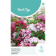 (50750) Dianthus / Duizendschoon lage