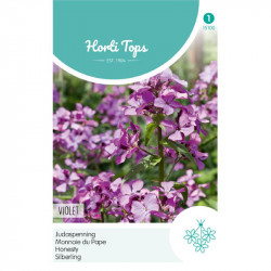 (51000) Lunaria / Judaspenning (51000) Lunaria / Judaspenning