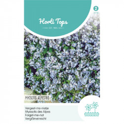 (51100) Myosotis / vergeet-me-niet vroegbloeiend blauw (51100) Myosotis / vergeet-me-niet vroegbloeiend blauw