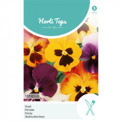 (51350) Viola / Trimardeau (51350) Viola / Trimardeau