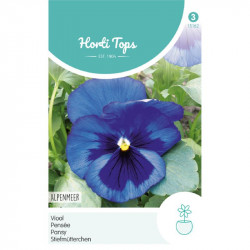 (51620) Viola / Zwitserse Reuzen, Alpenmeer donkerblauw (51620) Viola / Zwitserse Reuzen, Alpenmeer donkerblauw