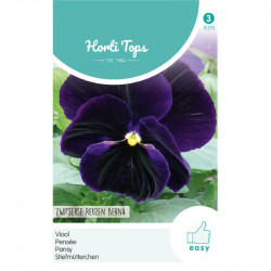 (51700) Viola / Zwitserse Reuzen, Berna (51700) Viola / Zwitserse Reuzen, Berna