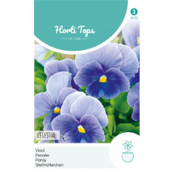 (51720) Viola / Zwitserse Reuzen, Celastial (51720) Viola / Zwitserse Reuzen, Celastial