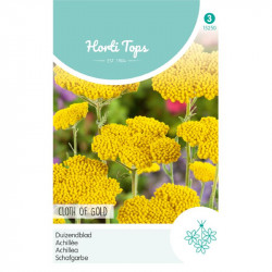(52500) Achillea / Geel Duizendblad Cloth of Gold