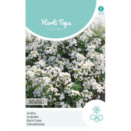 (52750) Arabis / Randjesbloem (52750) Arabis / Randjesbloem