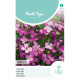 (52900) Aubrieta / Whitewell gemengd (52900) Aubrieta / Whitewell gemengd