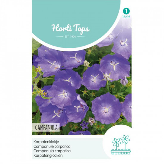 (52950) Campanula / Karpatenklokje