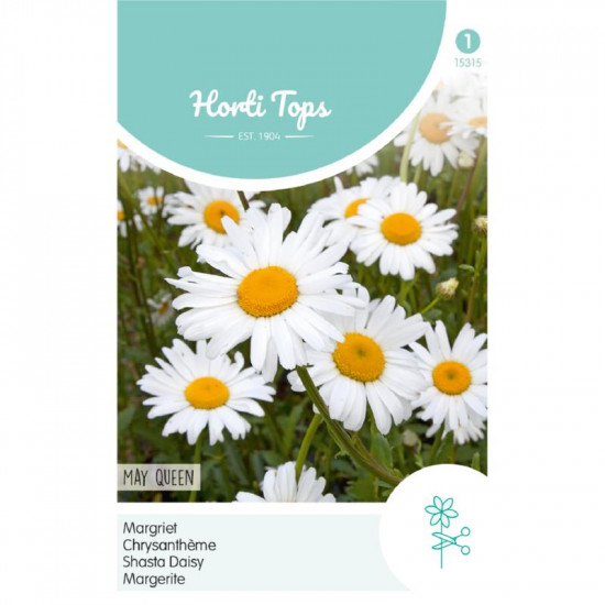 (53150) Chrysanthemum / Margriet, Meikoningin