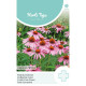 (53430) Echinacea / Zonnehoed purperrood