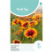 (53550) Gaillardia / Kokardebloem