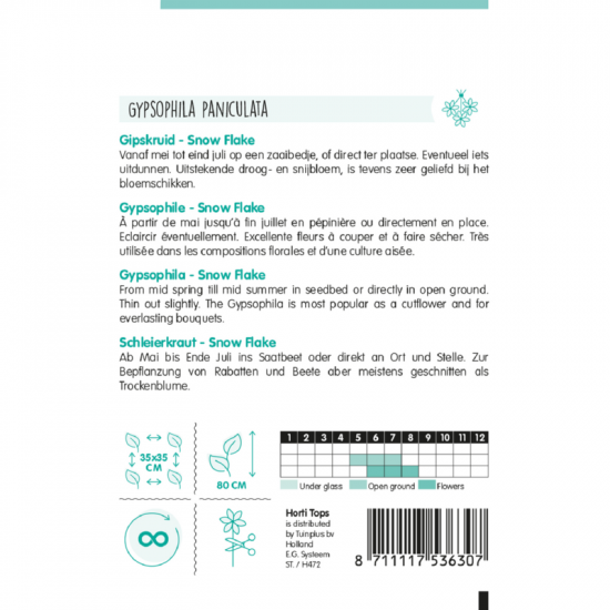 (53630) Gypsophila / Snow Flake dubbelbl. wit (53630) Gypsophila / Snow Flake dubbelbl. wit