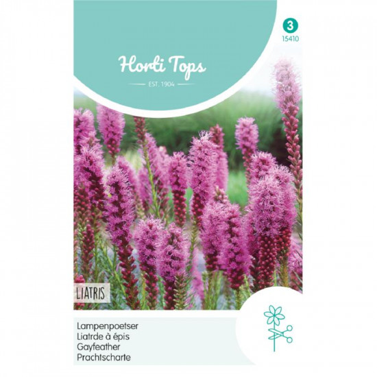 (54100) Liatris / Spicata