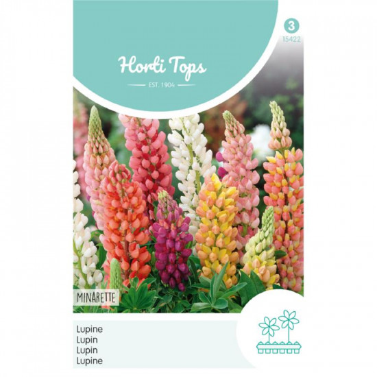 (54220) Lupinus / Lupinen Minarette