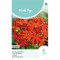 (54250) Lychnis / Brandende Liefde