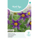 (54500) Pulsatilla / Wildemanskruid violet-blauw