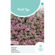 (54780) Thymus / Veldtijm (54780) Thymus / Veldtijm