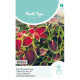 (55300) Coleus / Regenboogmengsel / Siernetel (55300) Coleus / Regenboogmengsel / Siernetel