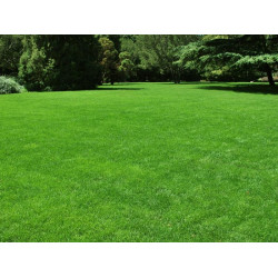Speelgazon (15 kg)