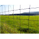 Schapengaas (Prairie) licht 120/16/15 (50 mtr.) Schapengaas (Prairie) licht 120/16/15 (50 mtr.)