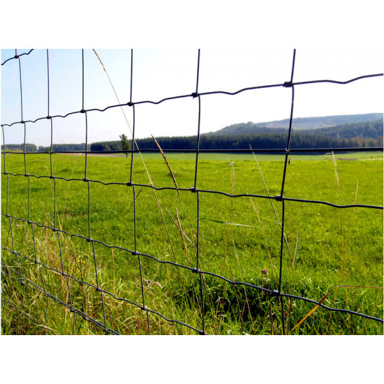 Schapengaas (Prairie) zwaar  80/8/15 (50 mtr.)